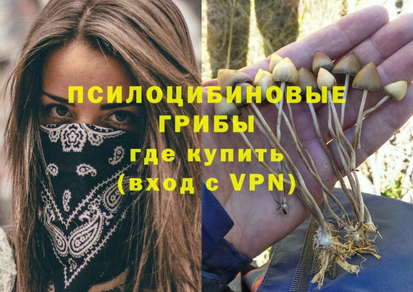 ALPHA PVP Алзамай