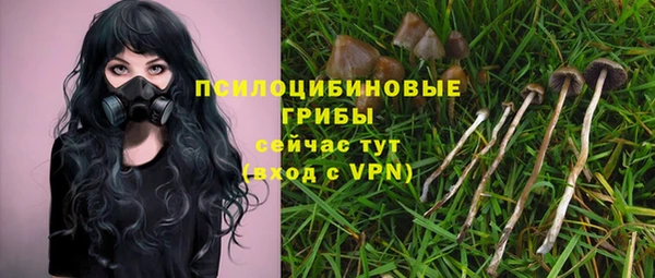 ГАЛЛЮЦИНОГЕННЫЕ ГРИБЫ Алексеевка