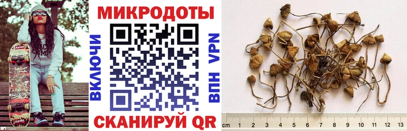 Псилоцибиновые грибы мицелий  Алушта 
